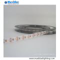 Haute luminosité 204LED par mesure 3014 SMD LED Strip Lights